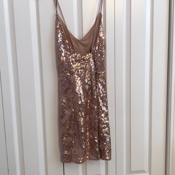 Rose Gold Sequined Mini Dress - Picture 3 of 3